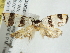  ( - BIOUG04227-G02)  @13 [ ] CreativeCommons - Attribution (2013) CBG Photography Group Centre for Biodiversity Genomics
