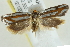  ( - BIOUG04227-G03)  @13 [ ] CreativeCommons - Attribution (2013) CBG Photography Group Centre for Biodiversity Genomics