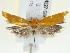  ( - BIOUG04227-G06)  @12 [ ] CreativeCommons - Attribution (2013) CBG Photography Group Centre for Biodiversity Genomics