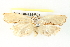  ( - BIOUG04228-B01)  @14 [ ] CreativeCommons - Attribution (2013) CBG Photography Group Centre for Biodiversity Genomics