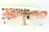  ( - BIOUG04228-B06)  @14 [ ] CreativeCommons - Attribution (2013) CBG Photography Group Centre for Biodiversity Genomics
