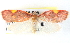  ( - BIOUG04228-B08)  @14 [ ] CreativeCommons - Attribution (2013) CBG Photography Group Centre for Biodiversity Genomics