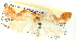  ( - BIOUG04228-B11)  @12 [ ] CreativeCommons - Attribution (2013) CBG Photography Group Centre for Biodiversity Genomics