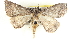  ( - BIOUG04228-G08)  @14 [ ] CreativeCommons - Attribution (2013) CBG Photography Group Centre for Biodiversity Genomics