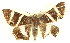  ( - BIOUG04229-F04)  @14 [ ] CreativeCommons - Attribution (2012) CBG Photography Group Centre for Biodiversity Genomics