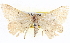  ( - BIOUG04229-G02)  @14 [ ] CreativeCommons - Attribution (2012) CBG Photography Group Centre for Biodiversity Genomics