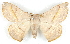  ( - BIOUG04230-A10)  @14 [ ] CreativeCommons - Attribution (2013) CBG Photography Group Centre for Biodiversity Genomics