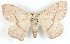  ( - BIOUG04230-A12)  @14 [ ] CreativeCommons - Attribution (2013) CBG Photography Group Centre for Biodiversity Genomics