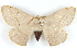  ( - BIOUG04230-B01)  @14 [ ] CreativeCommons - Attribution (2013) CBG Photography Group Centre for Biodiversity Genomics