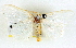  ( - BIOUG04230-B05)  @13 [ ] CreativeCommons - Attribution (2013) CBG Photography Group Centre for Biodiversity Genomics