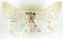 ( - BIOUG04230-B09)  @11 [ ] CreativeCommons - Attribution (2013) CBG Photography Group Centre for Biodiversity Genomics