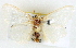  ( - BIOUG04230-D03)  @13 [ ] CreativeCommons - Attribution (2013) CBG Photography Group Centre for Biodiversity Genomics