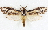  ( - BIOUG04230-D09)  @14 [ ] CreativeCommons - Attribution (2013) CBG Photography Group Centre for Biodiversity Genomics