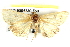  ( - BIOUG04230-F03)  @13 [ ] CreativeCommons - Attribution (2013) CBG Photography Group Centre for Biodiversity Genomics