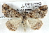  ( - BIOUG04371-A03)  @14 [ ] CreativeCommons - Attribution (2013) CBG Photography Group Centre for Biodiversity Genomics