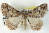  ( - BIOUG04371-A04)  @14 [ ] CreativeCommons - Attribution (2013) CBG Photography Group Centre for Biodiversity Genomics