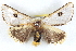  ( - BIOUG04371-E07)  @14 [ ] CreativeCommons - Attribution (2013) CBG Photography Group Centre for Biodiversity Genomics