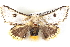  ( - BIOUG04371-E08)  @14 [ ] CreativeCommons - Attribution (2013) CBG Photography Group Centre for Biodiversity Genomics