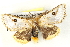  ( - BIOUG04371-E09)  @13 [ ] CreativeCommons - Attribution (2013) CBG Photography Group Centre for Biodiversity Genomics