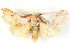 ( - BIOUG04371-F05)  @13 [ ] CreativeCommons - Attribution (2013) CBG Photography Group Centre for Biodiversity Genomics