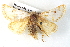  ( - BIOUG04371-F10)  @13 [ ] CreativeCommons - Attribution (2013) CBG Photography Group Centre for Biodiversity Genomics