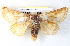  ( - BIOUG04371-F11)  @14 [ ] CreativeCommons - Attribution (2013) CBG Photography Group Centre for Biodiversity Genomics