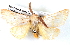  ( - BIOUG04371-G02)  @14 [ ] CreativeCommons - Attribution (2013) CBG Photography Group Centre for Biodiversity Genomics