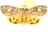  ( - BIOUG04371-G08)  @12 [ ] CreativeCommons - Attribution (2013) CBG Photography Group Centre for Biodiversity Genomics