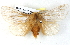  ( - BIOUG04371-H08)  @14 [ ] CreativeCommons - Attribution (2013) CBG Photography Group Centre for Biodiversity Genomics