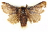  ( - BIOUG04372-A11)  @14 [ ] CreativeCommons - Attribution (2013) CBG Photography Group Centre for Biodiversity Genomics