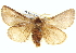  ( - BIOUG04372-B01)  @14 [ ] CreativeCommons - Attribution (2013) CBG Photography Group Centre for Biodiversity Genomics