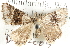  ( - BIOUG04372-B10)  @14 [ ] CreativeCommons - Attribution (2013) CBG Photography Group Centre for Biodiversity Genomics