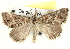  ( - BIOUG04372-C04)  @14 [ ] CreativeCommons - Attribution (2013) CBG Photography Group Centre for Biodiversity Genomics