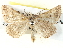  ( - BIOUG04372-E08)  @13 [ ] CreativeCommons - Attribution (2013) CBG Photography Group Centre for Biodiversity Genomics