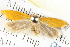  ( - BIOUG04372-F07)  @12 [ ] CreativeCommons - Attribution (2013) CBG Photography Group Centre for Biodiversity Genomics