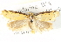  ( - BIOUG04372-G02)  @12 [ ] CreativeCommons - Attribution (2013) CBG Photography Group Centre for Biodiversity Genomics