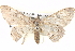  ( - BIOUG04467-A03)  @14 [ ] CreativeCommons - Attribution (2013) CBG Photography Group Centre for Biodiversity Genomics