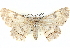  ( - BIOUG04467-A06)  @14 [ ] CreativeCommons - Attribution (2013) CBG Photography Group Centre for Biodiversity Genomics