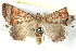  ( - BIOUG04467-G12)  @13 [ ] CreativeCommons - Attribution (2013) CBG Photography Group Centre for Biodiversity Genomics