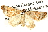  ( - BIOUG04467-H09)  @13 [ ] CreativeCommons - Attribution (2013) CBG Photography Group Centre for Biodiversity Genomics