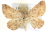  ( - BIOUG04471-A07)  @14 [ ] CreativeCommons - Attribution (2013) CBG Photography Group Centre for Biodiversity Genomics