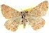  ( - BIOUG04471-B08)  @14 [ ] CreativeCommons - Attribution (2013) CBG Photography Group Centre for Biodiversity Genomics