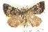  ( - BIOUG04471-F11)  @14 [ ] CreativeCommons - Attribution (2013) CBG Photography Group Centre for Biodiversity Genomics