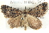  ( - BIOUG04471-F12)  @14 [ ] CreativeCommons - Attribution (2013) CBG Photography Group Centre for Biodiversity Genomics