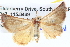  ( - BIOUG04471-H03)  @12 [ ] CreativeCommons - Attribution (2013) CBG Photography Group Centre for Biodiversity Genomics