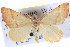  ( - BIOUG04471-H11)  @14 [ ] CreativeCommons - Attribution (2013) CBG Photography Group Centre for Biodiversity Genomics