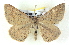  ( - BIOUG04497-B06)  @14 [ ] CreativeCommons - Attribution (2013) CBG Photography Group Centre for Biodiversity Genomics