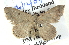  ( - BIOUG04497-B12)  @13 [ ] CreativeCommons - Attribution (2013) CBG Photography Group Centre for Biodiversity Genomics