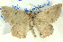  ( - BIOUG04497-C02)  @14 [ ] CreativeCommons - Attribution (2013) CBG Photography Group Centre for Biodiversity Genomics