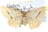  ( - BIOUG04497-G01)  @14 [ ] CreativeCommons - Attribution (2013) CBG Photography Group Centre for Biodiversity Genomics